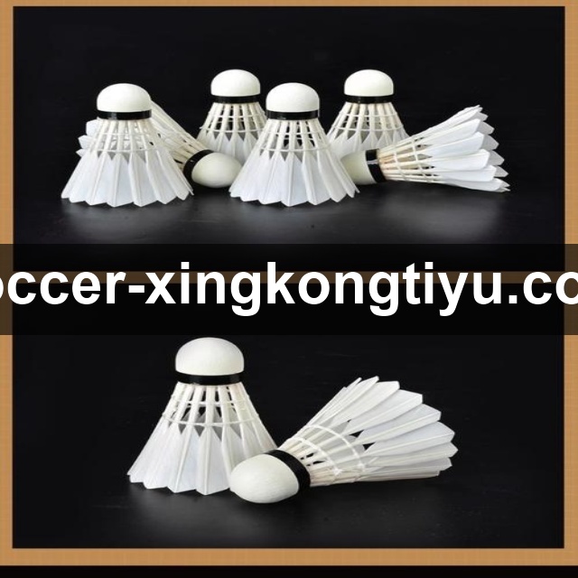 行业领先的理由