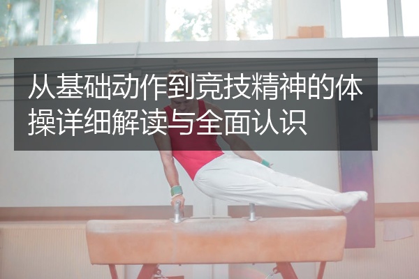 从基础动作到竞技精神的体操详细解读与全面认识