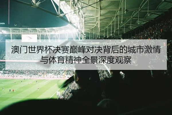澳门世界杯决赛巅峰对决背后的城市激情与体育精神全景深度观察
